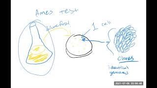 The Ames Test for Mutagenicity