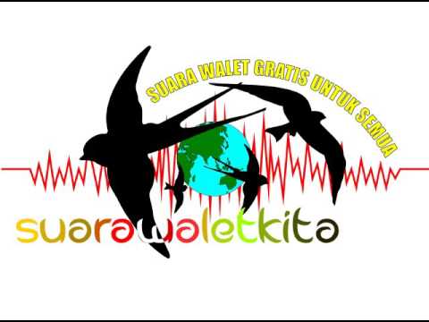 Suara Walet Panggil - Raja Rimba