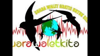 Suara Walet Panggil - Raja Rimba