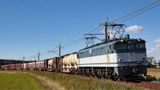 JR貨物EF65 2090 鹿島線貨物列車1093ﾚ