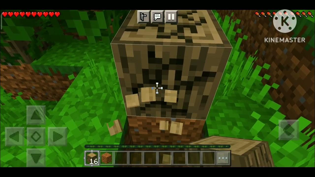 Minecraft Survival Series java edition trailer - YouTube