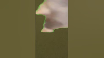 HappyCat Nextbot Gmod