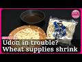 Could Japan's beloved Udon be at risk? Wheat imports fall sparks concern