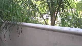 572 E San Jose Avenue Unit 104