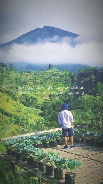 goblok mencinta | STORY |  STATUS WA #shorts #story