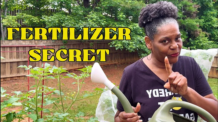 The Fertilizer Method That Transformed My Container Garden!  (They Won't Tell You This!) thumbnail