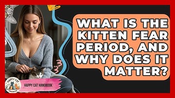 What Is The Kitten Fear Period, And Why Does It Matter? - Happy Cat Handbook