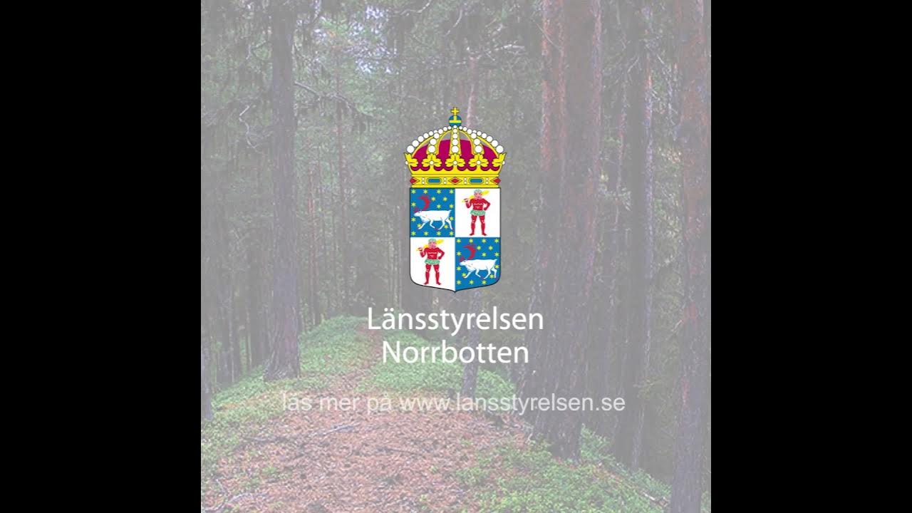 Sju nya naturreservat i Norrbottens län - YouTube
