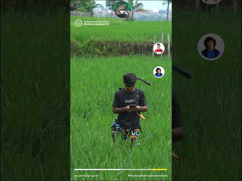 INFO PEMUTAKHIRAN ERDKK