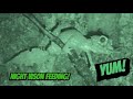 Feeding some of my LEAF TAILED GECKOS in the DARK| NOCTURNAL PET FEEDING VIDEO