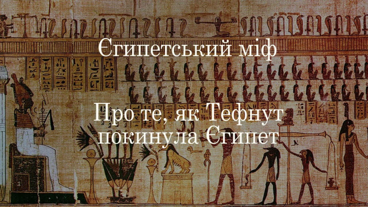 Египетский бог амон ра. Бог солнца ра в древнем египте. Ибис бог египта. Ибис священная птица древнего египта. Боги египта horus.