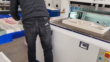 Automatic Label/Tags/Hangtags/Cosmetic/Paper Cup Stripping Machine