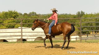 Hv Smart N Fancy - Bareback And Bridle-Less - Valleyviewranch.net