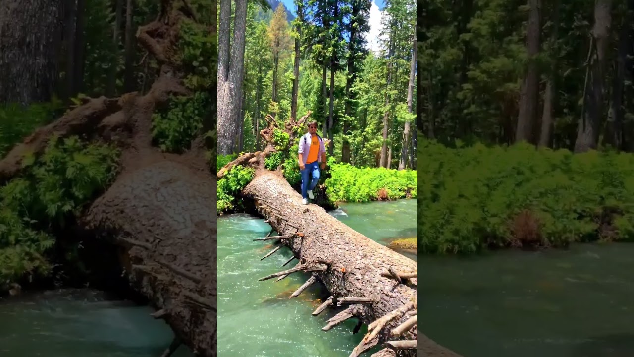 Kumrat valley|kumrat valley distance from swat|kumrat abshar|kumrat heaven on earth|kumrat river