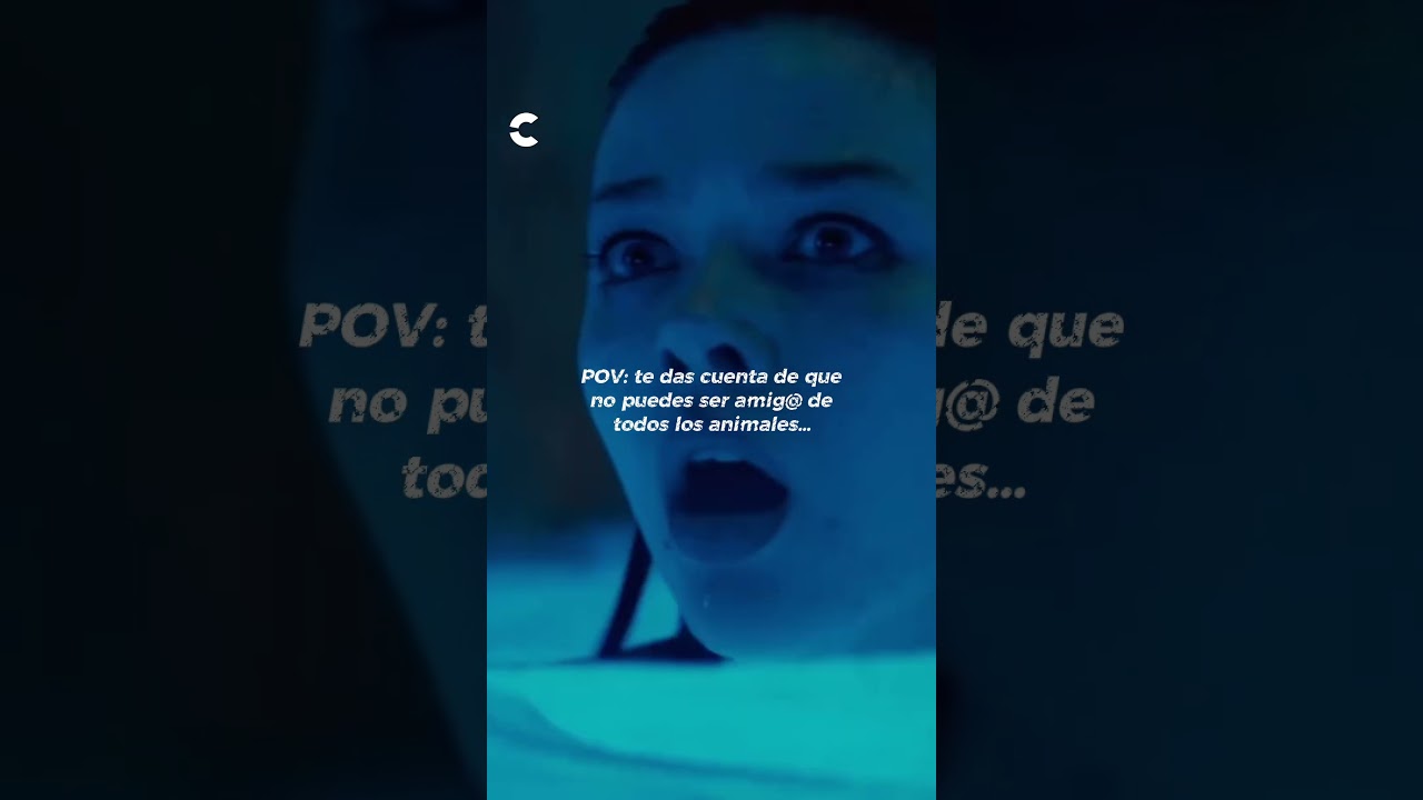 Lamento decirte... que si hay animales que no te quieren de amig@... #Primate