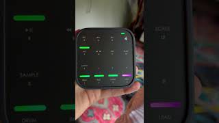 Donner Medo In The Wild And In My Hands