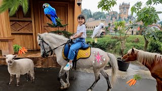 Naik Kuda dan Kasih Makan Burung Macaw dan Domba di Kastil  Mengenal Binatang