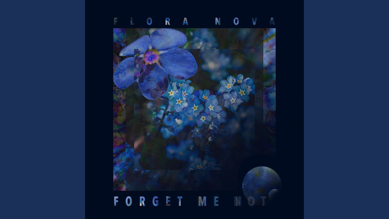 Forget Me Not