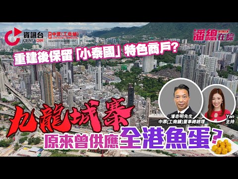 九龍城寨原來曾供應全港魚蛋？|重建後保留「小泰國」特色商戶對舖價有冇幫助? 【潘總在線】| 中原工商舖 | 20240530