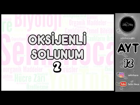 14) Oksijenli Solunum 2