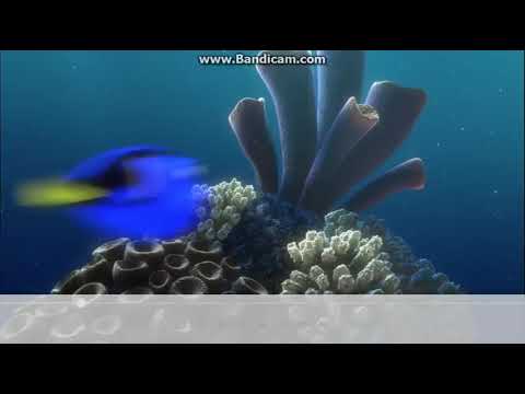 Finding Nemo Dory Meets Marlin