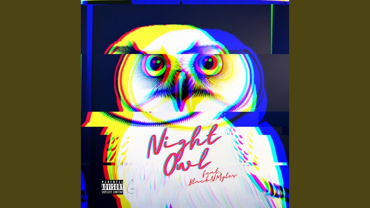 Night Owl