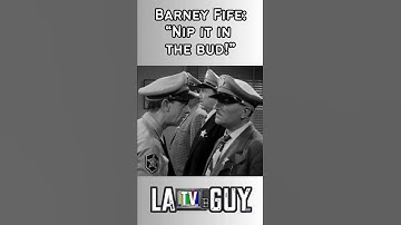 BARNEY FIFE