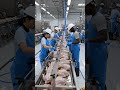 fryed chickens in factory #tastyfood #spicy #tastyfood #spicy