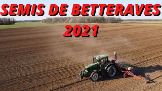 Semis de betteraves Pel et Der 2021