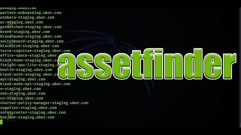 How To Install Assetfinder AssetFinder: a Solid Subdomain and Domain Mapping tool
