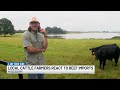 Temporary pause of beef import tariffs