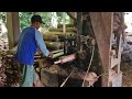 Modern Sawmill vs Giant Hardwood Log – Epic Result!