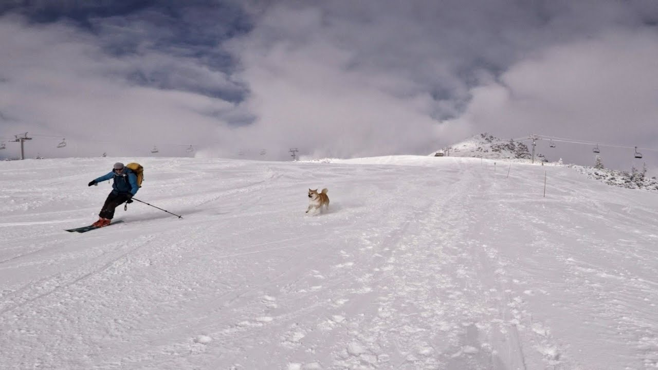 Štrbské pleso skialp