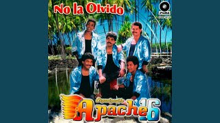 Video thumbnail of "Organización Apache 16 - Te Amo"