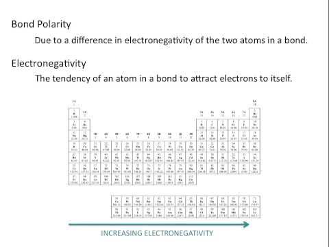 What Is Bond Polarity In Chemistry