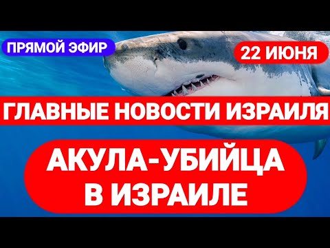 Новости Израиля. АКУЛА-УБИЙЦА В ИЗРАИЛЕ. Выпуск 362. Радио Наария חדשות