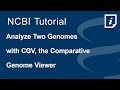 Analyze Evolutionary Relationships Between Two Genomes using NCBI&#39;s Comparative Genome Viewer (CGV)