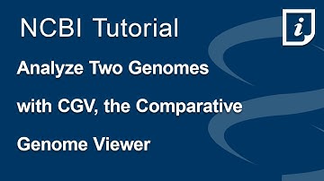 Analyze Evolutionary Relationships Between Two Genomes using NCBI