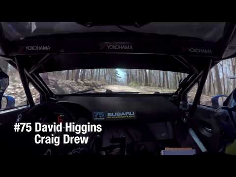 Onboard David Higgins Rally In The 100 Acre Wood 2019 