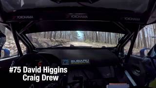 Onboard: David Higgins - Rally in the 100 Acre Wood 2019