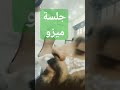 ميزو للوجه Explore تركيا اسطنبول بورصه عراقية Foryou تجميل اضافر حواجب ميزوثيرابي ميزو ميزو للوجه Explore تركيا اسطنبول بورصه عراقية Foryou تجميل اضافر حواجب ميزوثيرابي ميزو