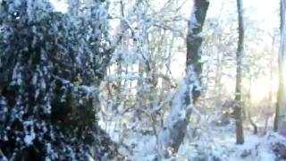 Highwoods Park After The Snow Storm