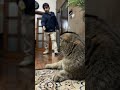 Lit le gaya song(Abdullah and new objects