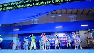 DSC 0217