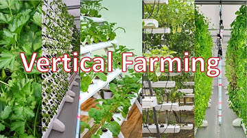 Vertical Farming Explained: The Game-Changer for Future Food Sustainability