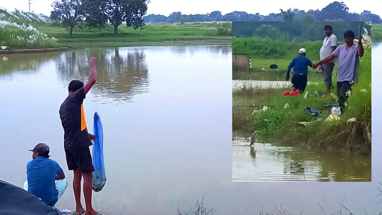 Different Types Of Fish Catching We Used Bread Ant egg EarthWormकलबासु, बाम और सिंघी मछली का शिकार.
