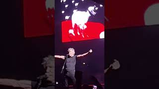 Roger Waters "sheep" Unipol Arena Bologna 29/4/2023