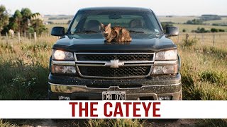 The Last Real Chevy? The 2006 Silverado