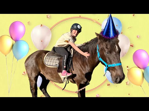 HORSES BIRTHDAY KIDS FESTIVAL - I rode 3 Horses in 1 Day