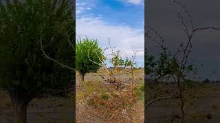 I am Trying to viral my Videos #nature #naturelandscape #photographytour #sightsee #photographytrip
